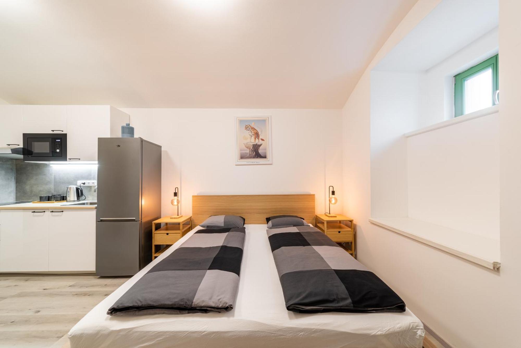 Lejlighed Borivojova 63 Prag