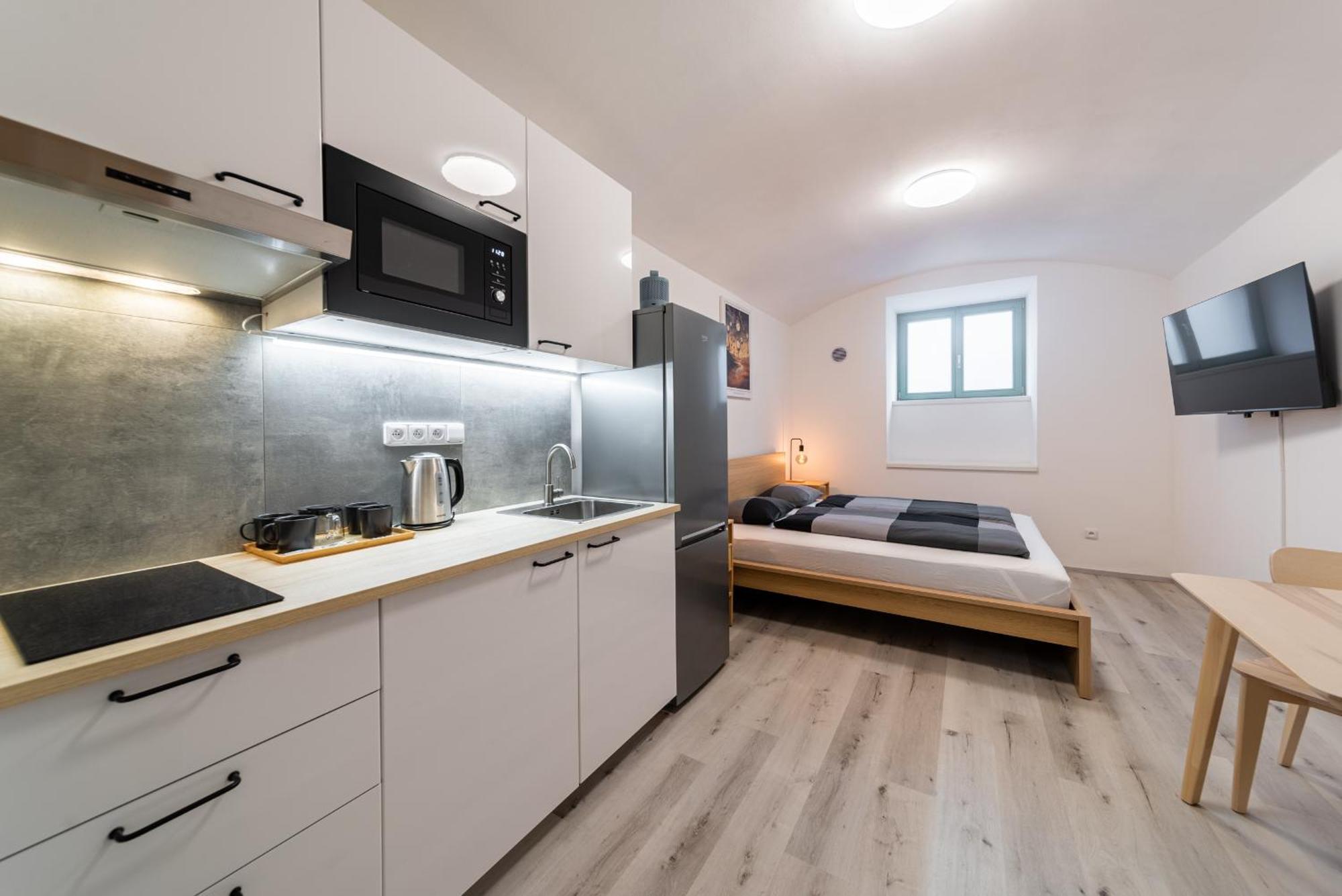 Lejlighed Borivojova 63 Prag