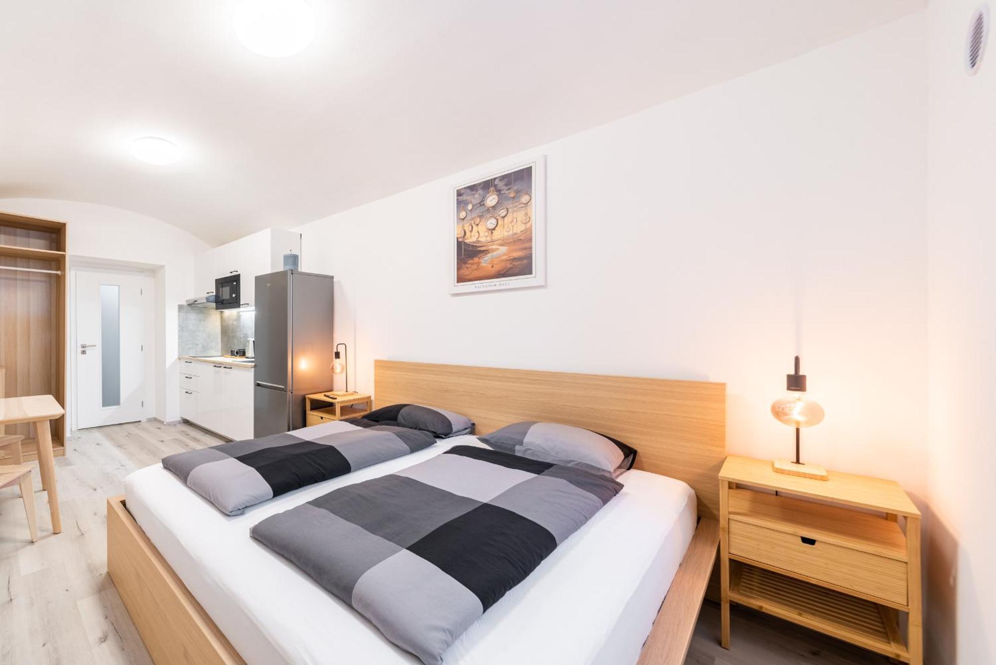 Lejlighed Borivojova 63 Prag
